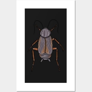 8bit pixel Oriental Cockroach (Blatta orientalis) Posters and Art